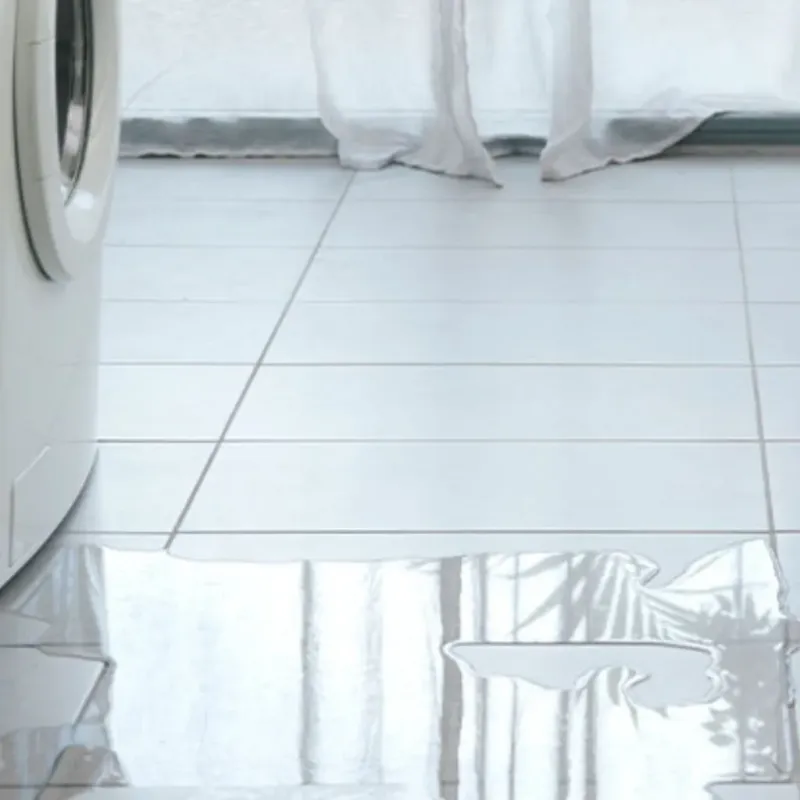Appliance Leak Cleanup in Chester, MT